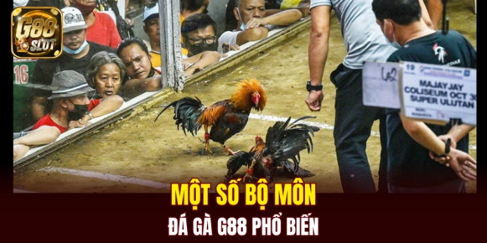 Một số bộ môn đá gà G88 phổ biến
