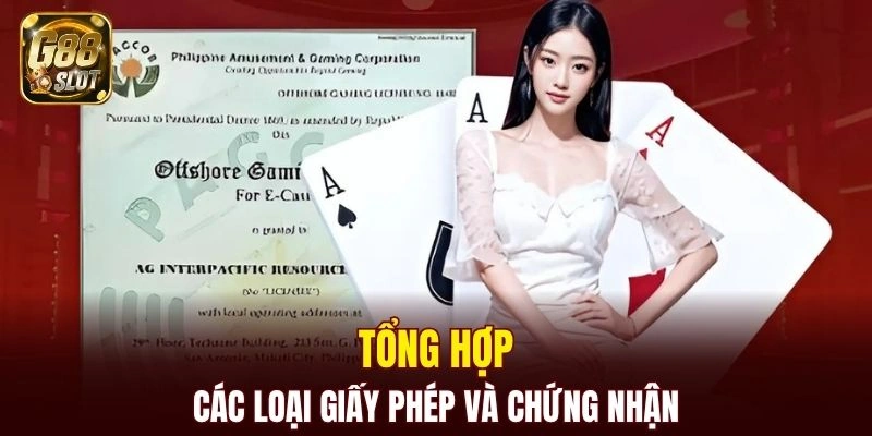 Tổng hợp các loại giấy phép đang được thương hiệu sở hữu